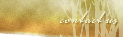 contact us